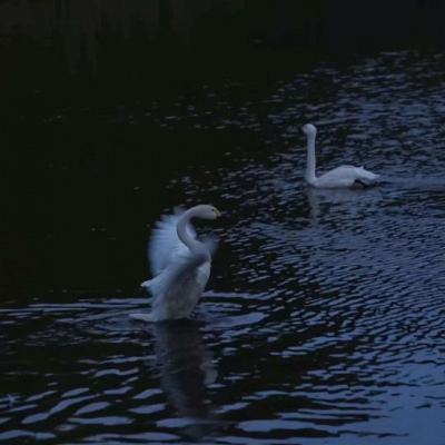 开云·体育(kaiyun)手机app下载