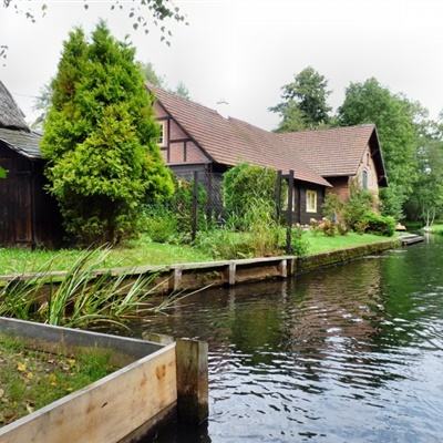 三张牌下载金花免费手机app下载