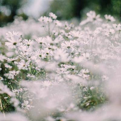 满堂彩下载手机版