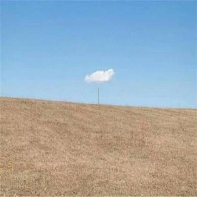 永盈会手机版手机app下载