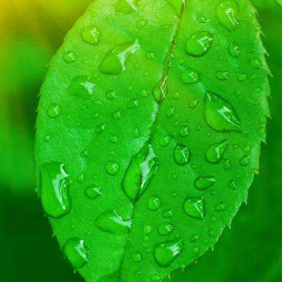 万博manbetx客户端